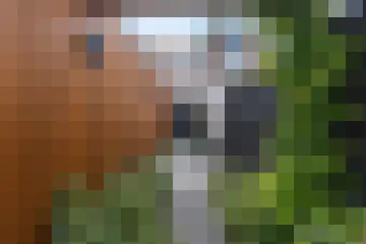 Bilderdijkstraat 15 Tilburg thumbnail 22