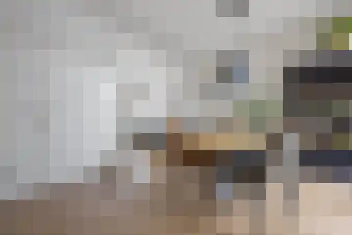 Bilderdijkstraat 15 Tilburg thumbnail 7
