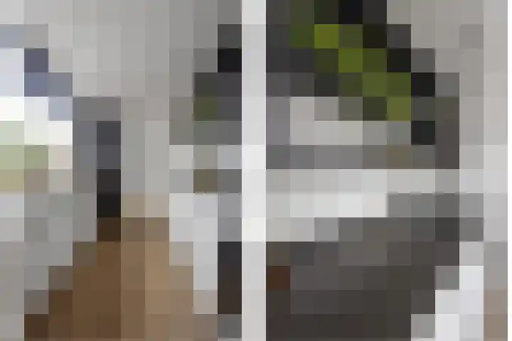 Bilderdijkstraat 15 Tilburg thumbnail 8