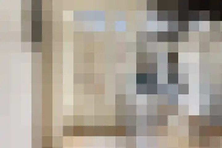 Bilderdijkstraat 152 1 Amsterdam thumbnail 20