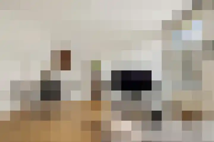 Bilderdijkstraat 152 1 Amsterdam thumbnail 7