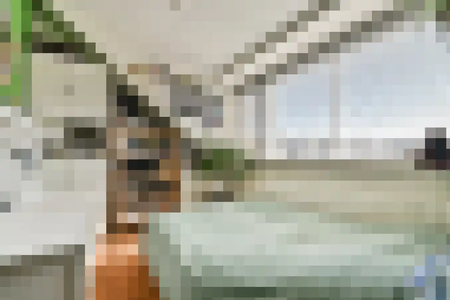 Bilderdijkstraat 16 Capelle aan den IJssel thumbnail 18