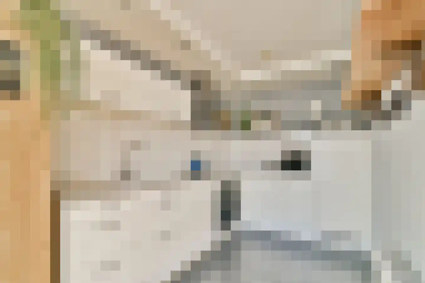 Bilderdijkstraat 16 Capelle aan den IJssel thumbnail 7