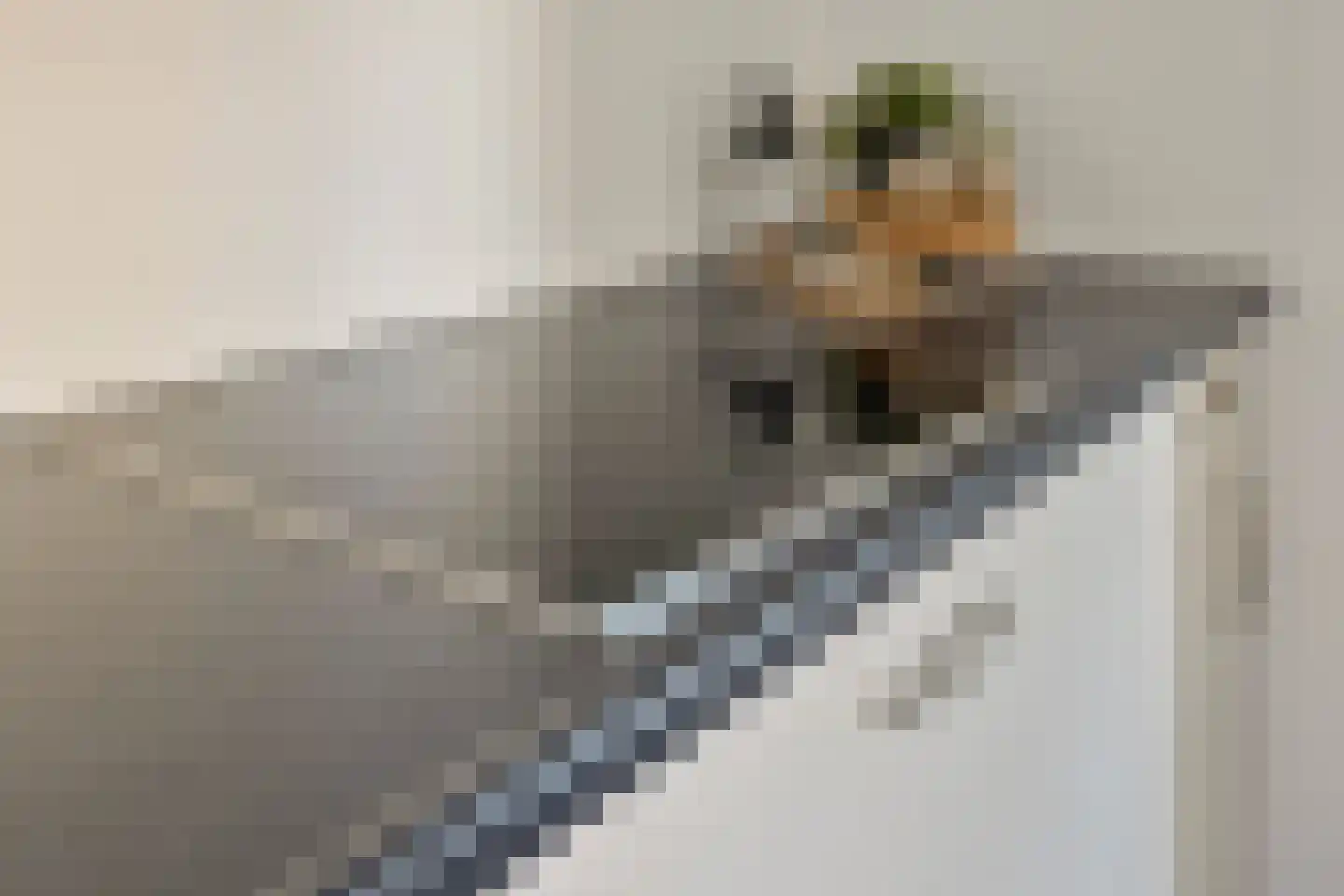 Bilderdijkstraat 16 Tilburg thumbnail 11