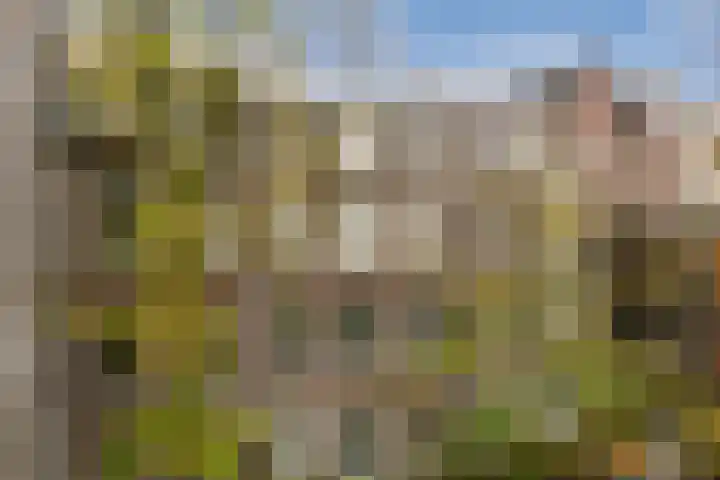 Bilderdijkstraat 177 2V Amsterdam thumbnail 13