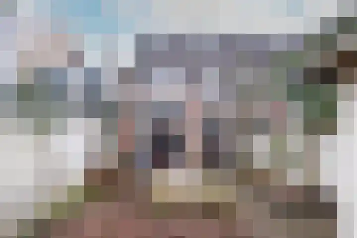 Bilderdijkstraat 18 Haarlem thumbnail 5