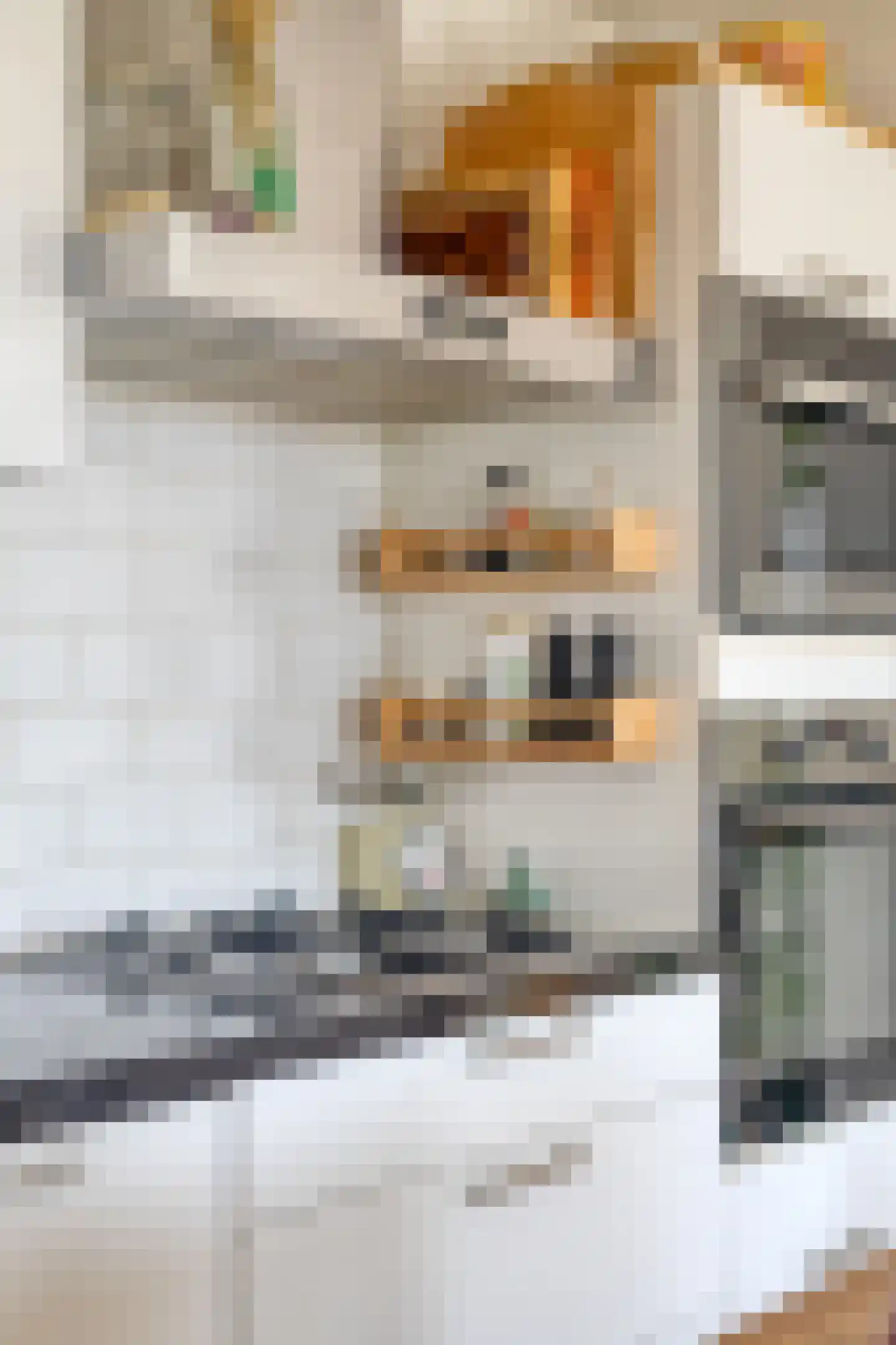 Bilderdijkstraat 182 4 Amsterdam thumbnail 17