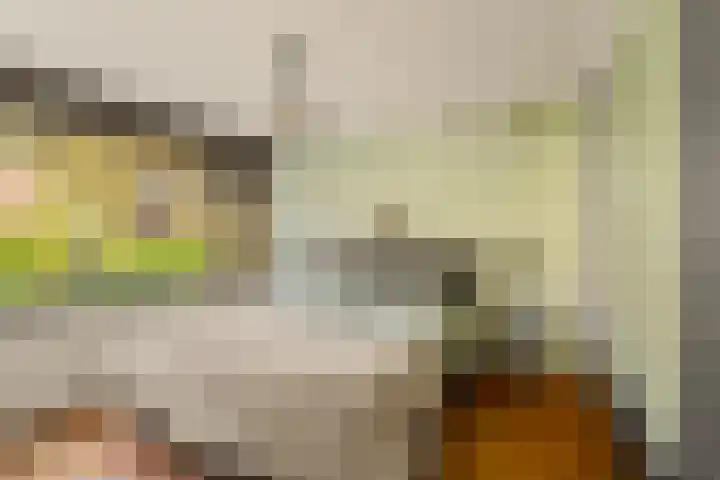 Bilderdijkstraat 20 Capelle aan den IJssel thumbnail 14