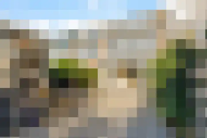 Bilderdijkstraat 20 Capelle aan den IJssel thumbnail 25