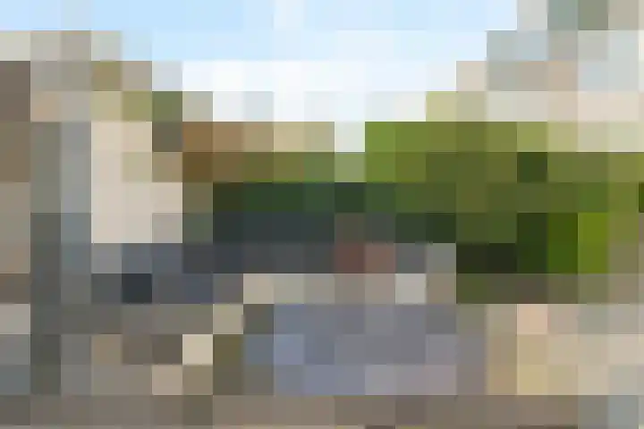 Bilderdijkstraat 20 Capelle aan den IJssel thumbnail 28