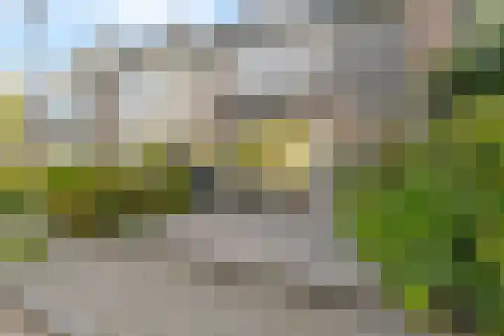 Bilderdijkstraat 20 Capelle aan den IJssel thumbnail 30