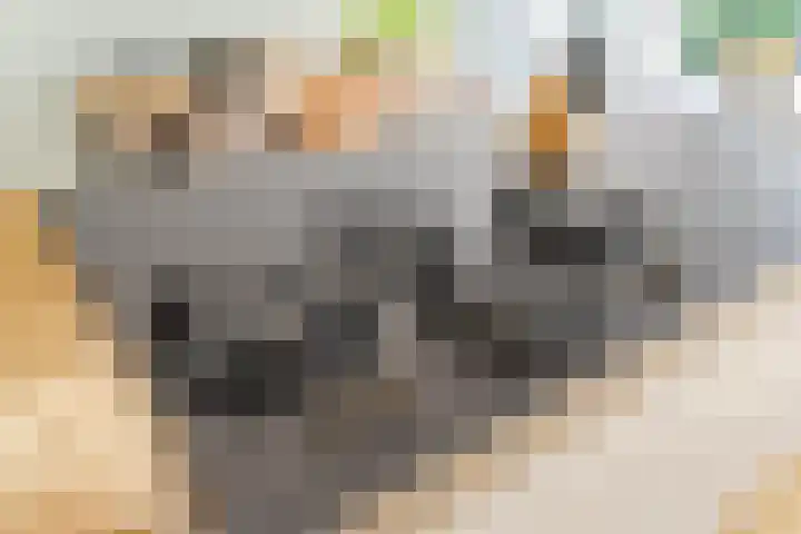 Bilderdijkstraat 20 Capelle aan den IJssel thumbnail 8