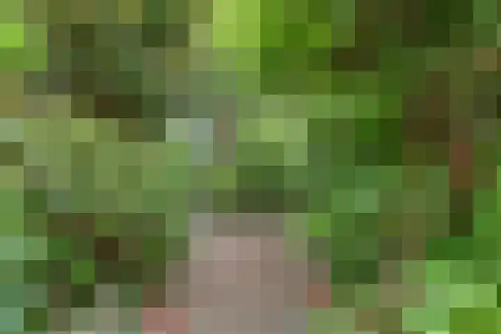 Bilderdijkstraat 21 Capelle aan den IJssel thumbnail 11