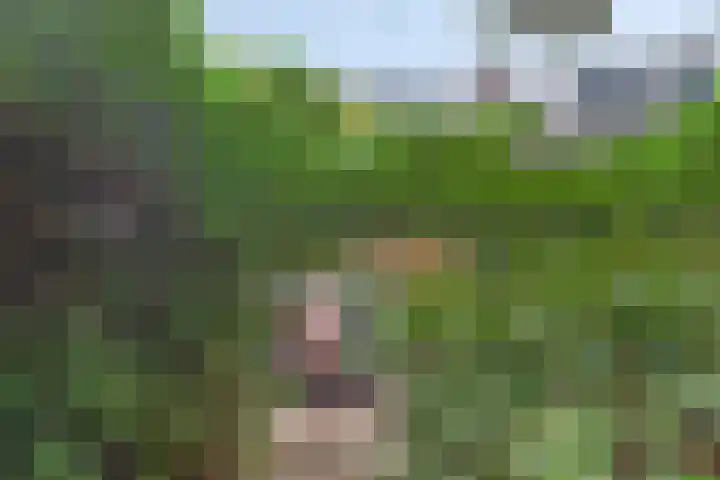 Bilderdijkstraat 21 Capelle aan den IJssel thumbnail 14