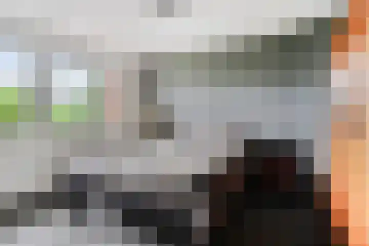 Bilderdijkstraat 21 Capelle aan den IJssel thumbnail 17