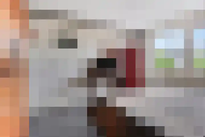 Bilderdijkstraat 21 Capelle aan den IJssel thumbnail 20