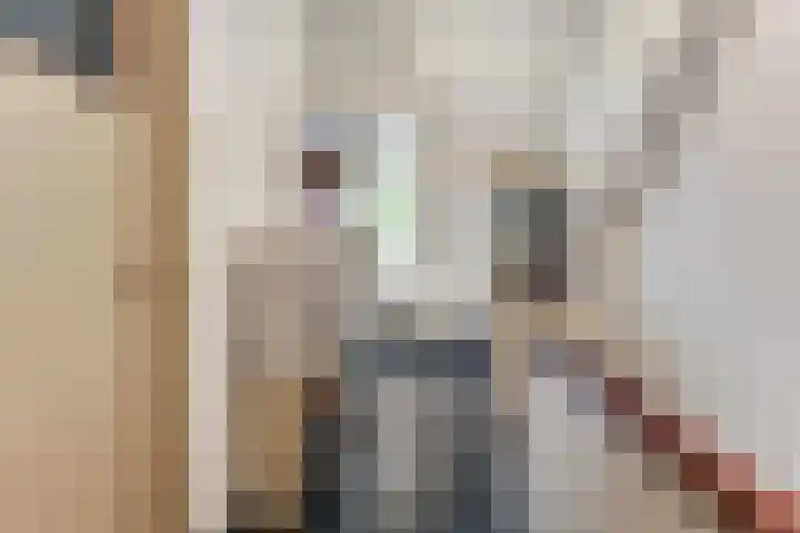 Bilderdijkstraat 21 Capelle aan den IJssel thumbnail 32