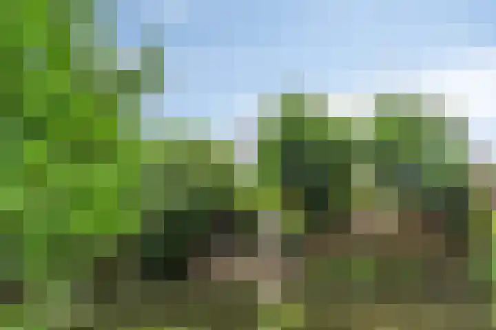 Bilderdijkstraat 21 Capelle aan den IJssel thumbnail 37