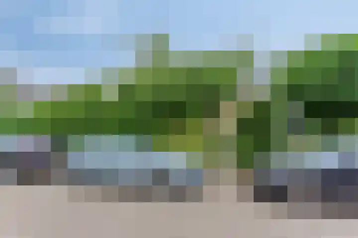 Bilderdijkstraat 21 Capelle aan den IJssel thumbnail 38
