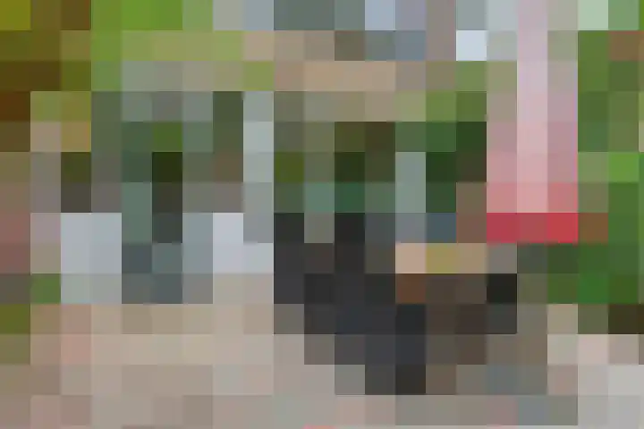 Bilderdijkstraat 21 Capelle aan den IJssel thumbnail 8