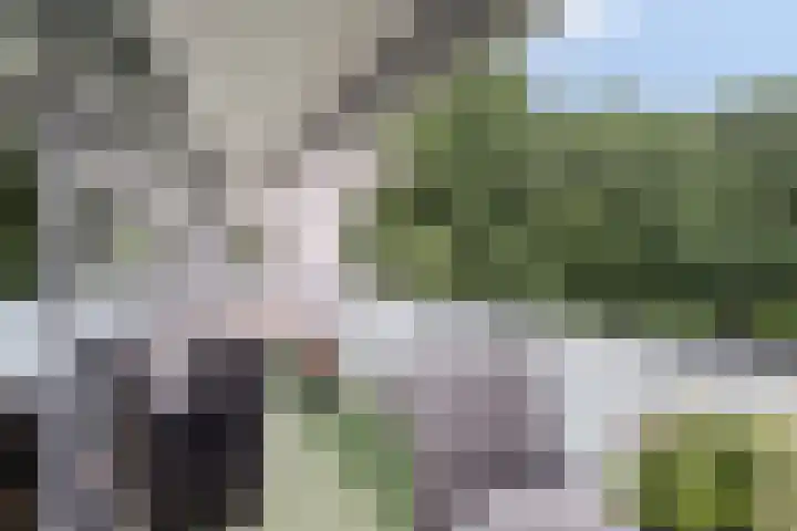 Bilderdijkstraat 21 Oss thumbnail 20