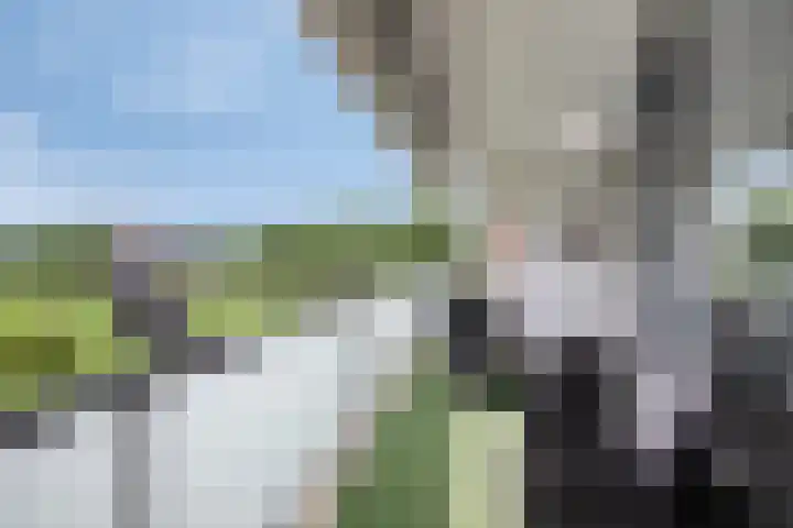 Bilderdijkstraat 21 Oss thumbnail 21
