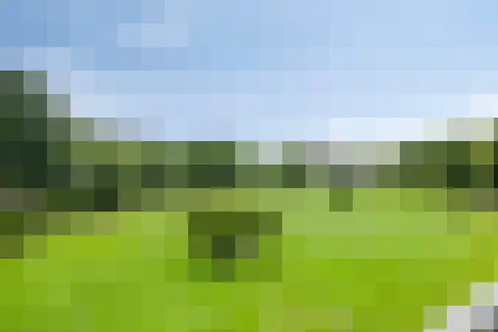 Bilderdijkstraat 21 Oss thumbnail 22