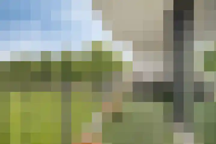 Bilderdijkstraat 21 Oss thumbnail 27
