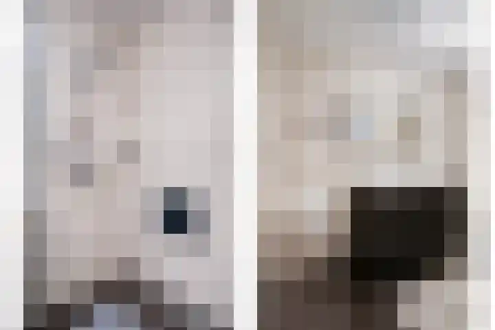 Bilderdijkstraat 21 Oss thumbnail 32