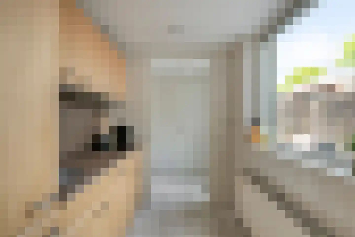 Bilderdijkstraat 21 Tilburg thumbnail 18