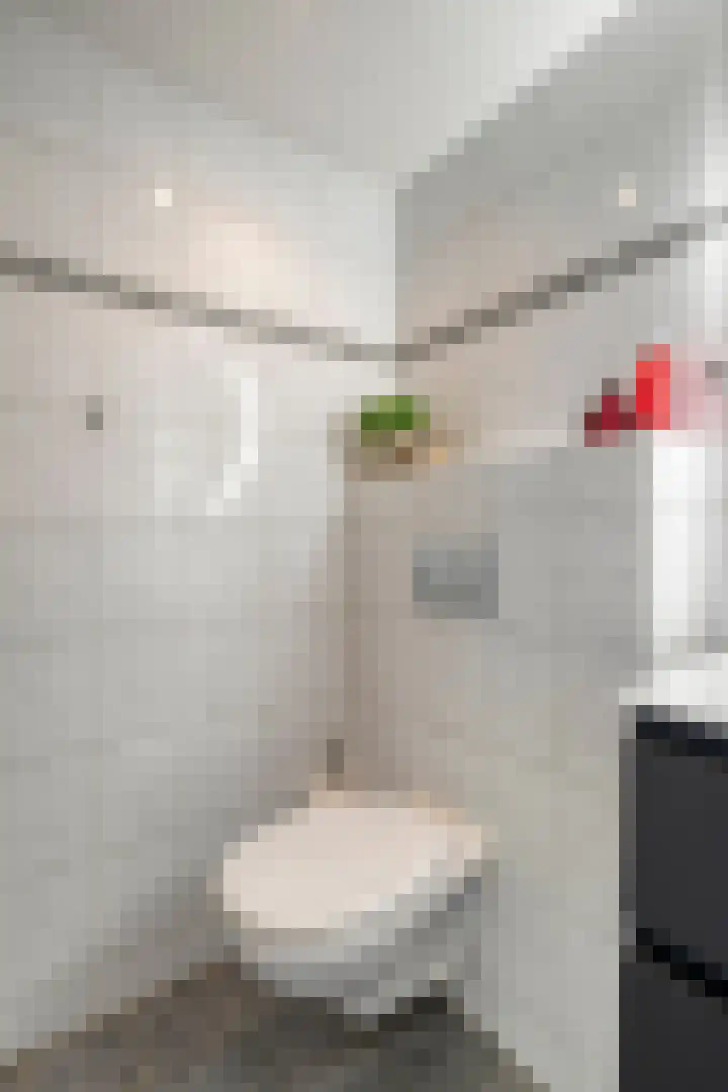 Bilderdijkstraat 21 Tilburg thumbnail 24