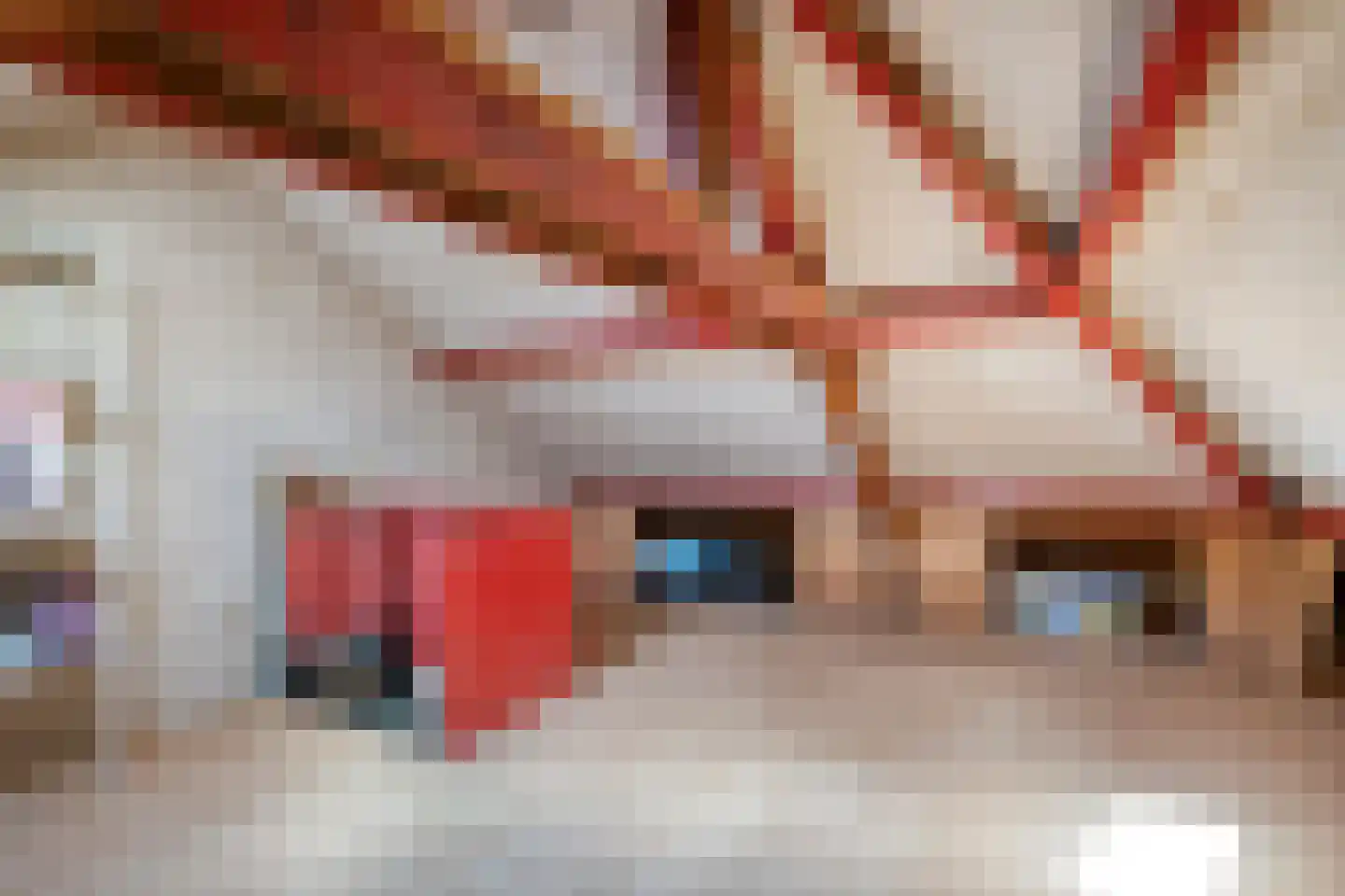 Bilderdijkstraat 21 Tilburg thumbnail 38