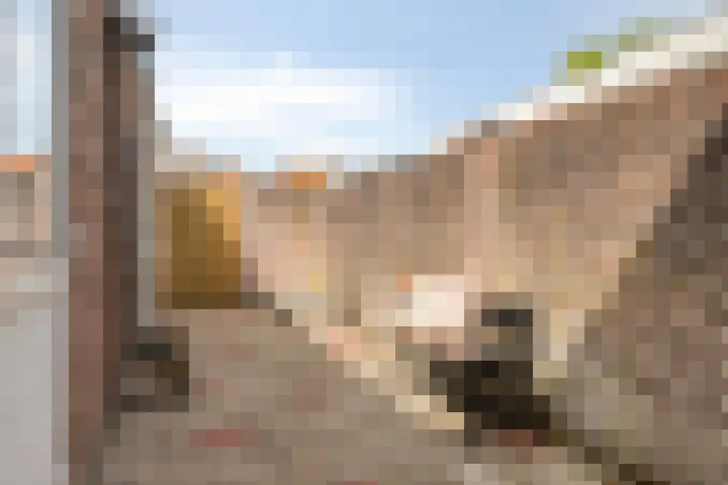 Bilderdijkstraat 21 Tilburg thumbnail 42