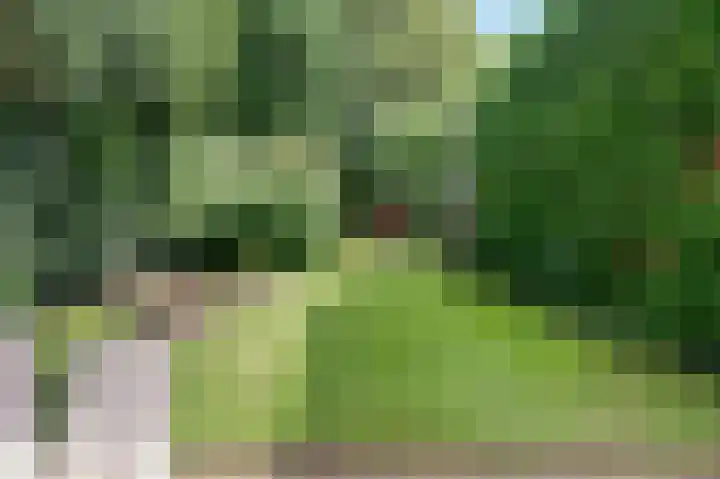 Bilderdijkstraat 22 Winschoten thumbnail 6