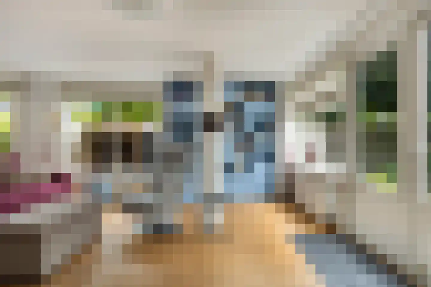 Bilderdijkstraat 24 Capelle aan den IJssel thumbnail 10