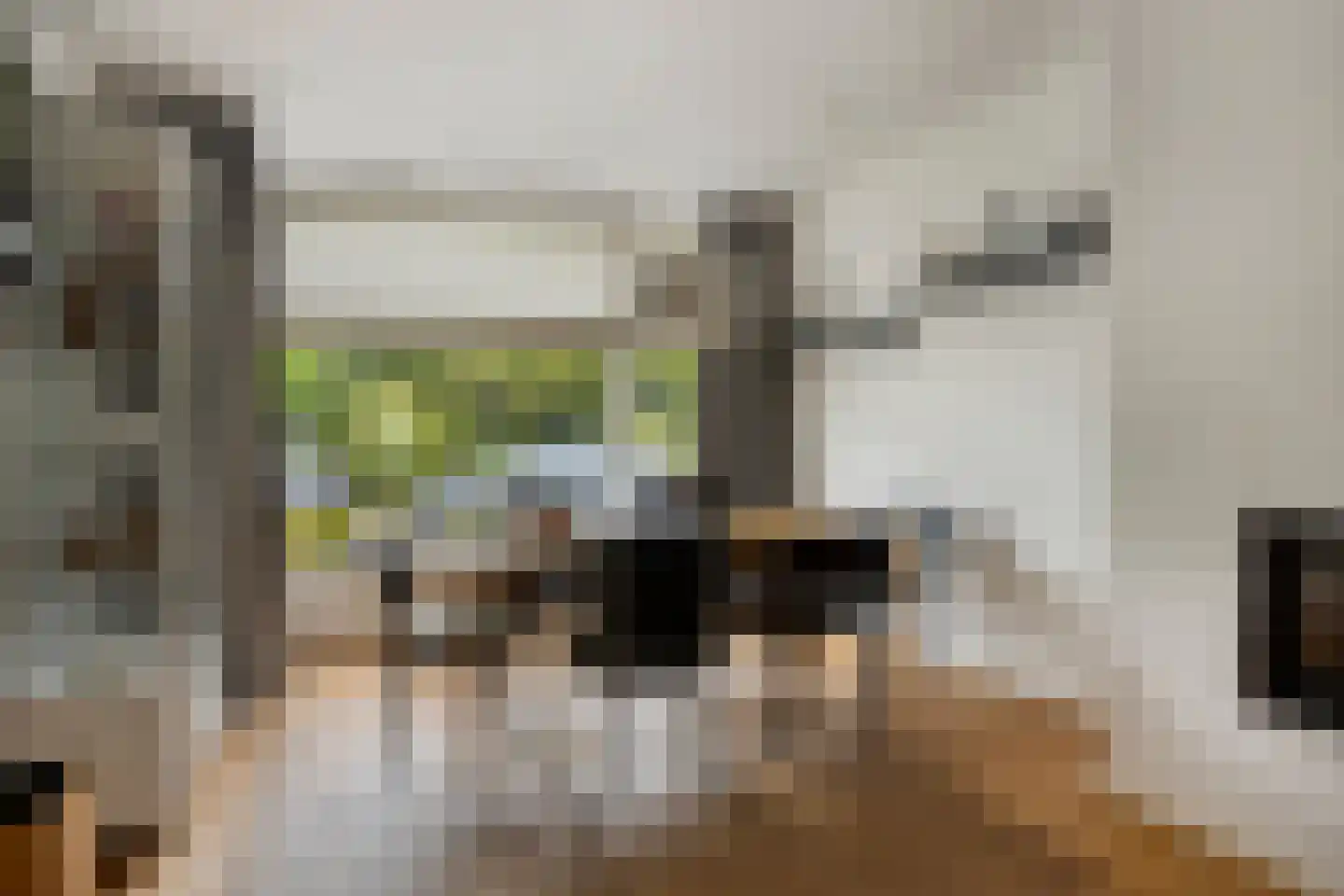 Bilderdijkstraat 24 Capelle aan den IJssel thumbnail 11