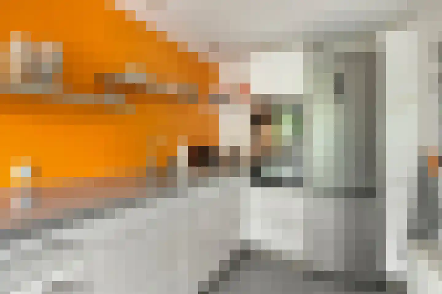 Bilderdijkstraat 24 Capelle aan den IJssel thumbnail 16