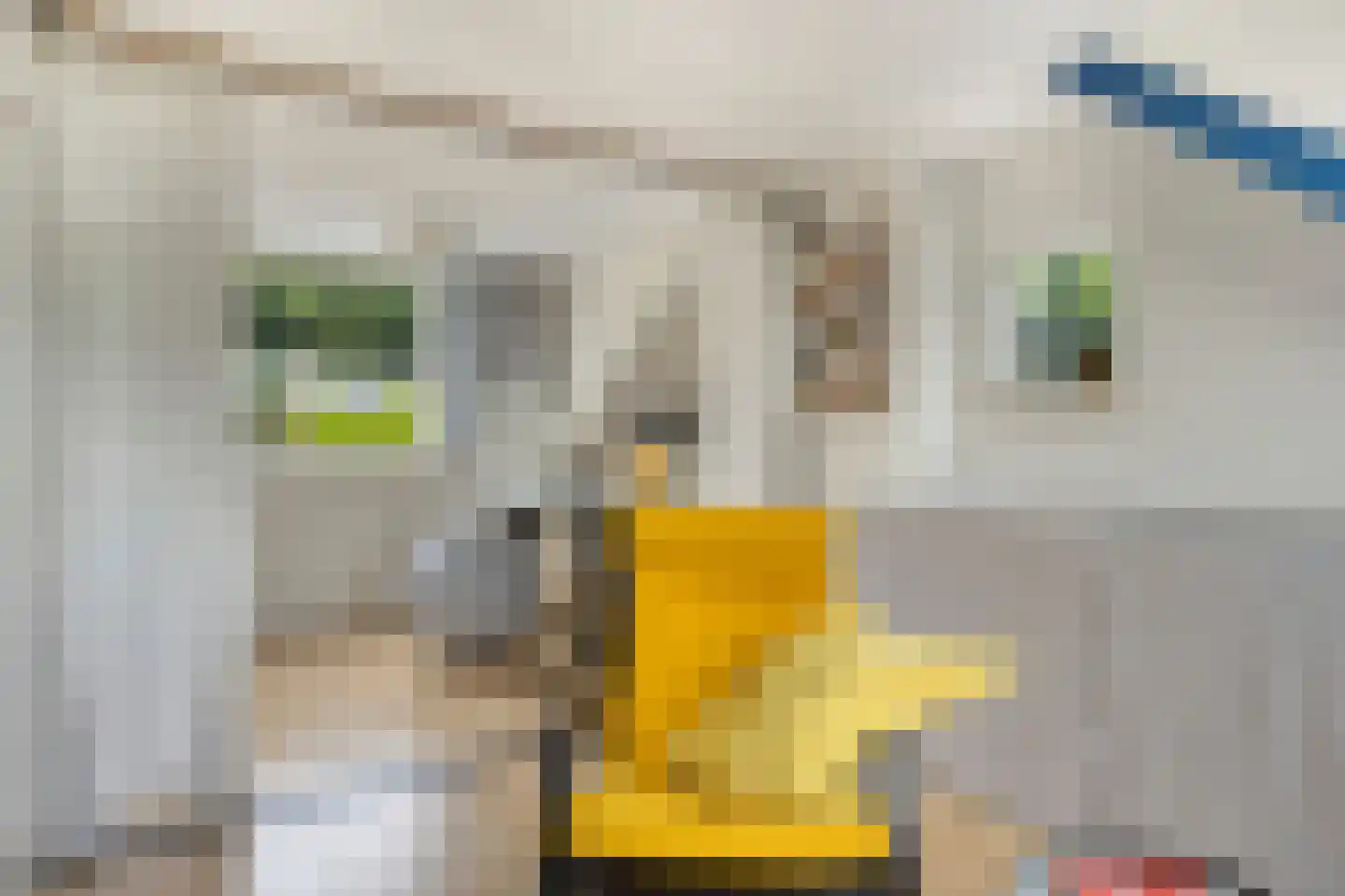 Bilderdijkstraat 24 Capelle aan den IJssel thumbnail 29