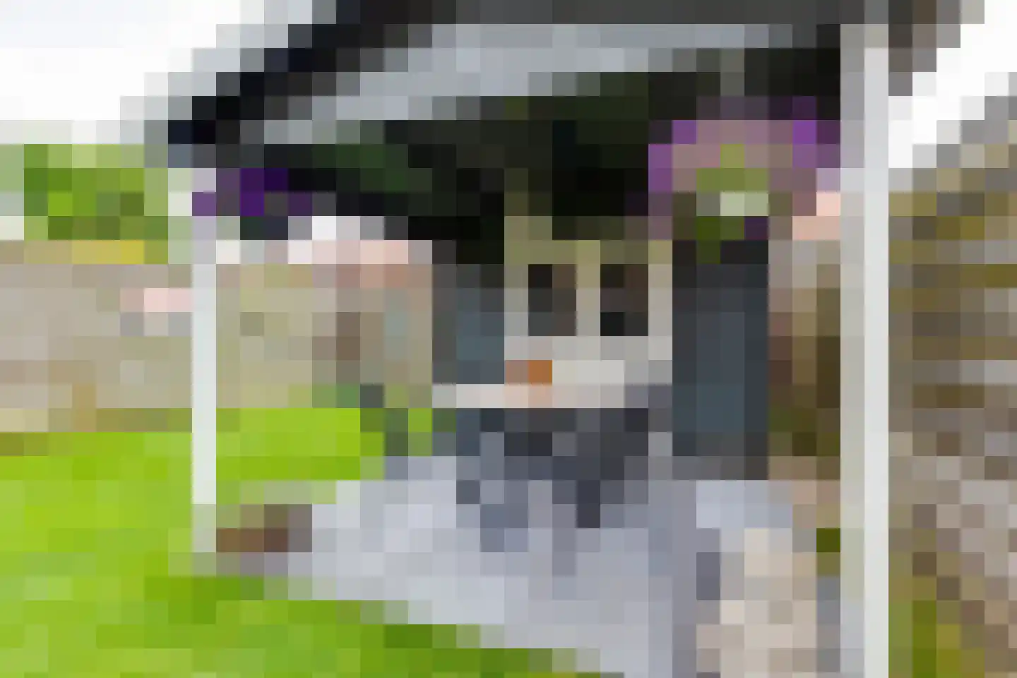 Bilderdijkstraat 25 Aalten thumbnail 23