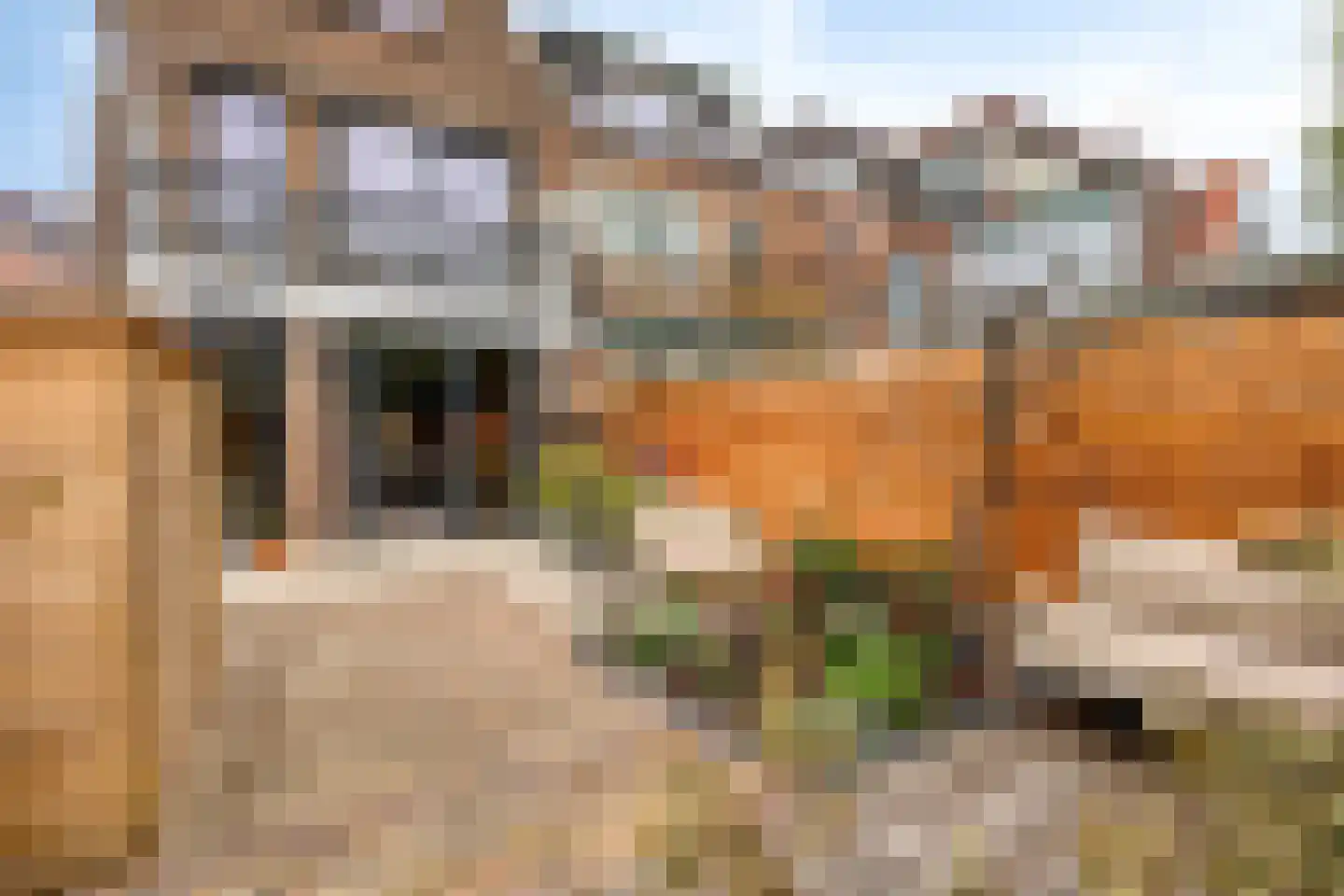 Bilderdijkstraat 28 Schiedam thumbnail 37