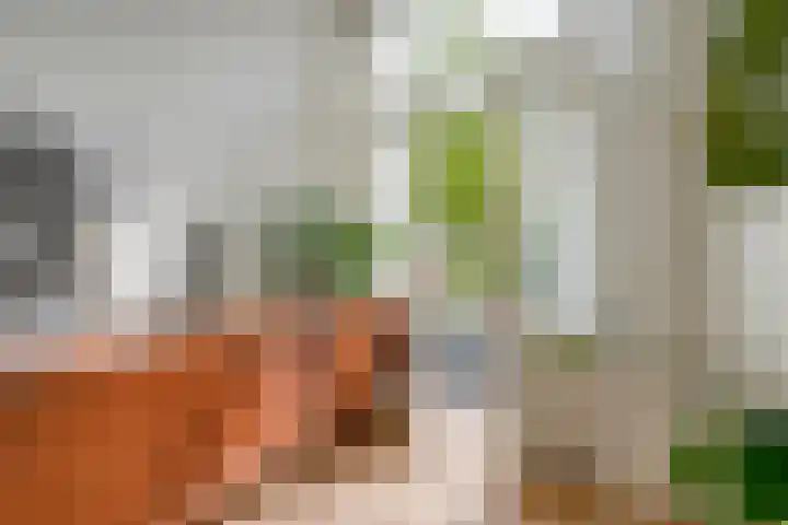 Bilderdijkstraat 33 BS Utrecht thumbnail 5