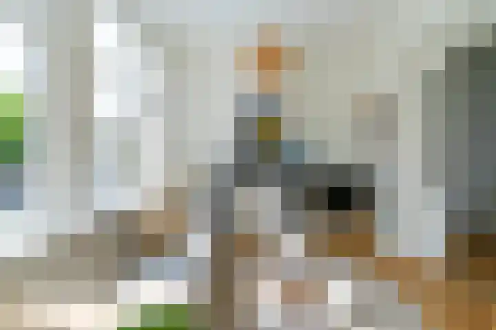 Bilderdijkstraat 33 BS Utrecht thumbnail 7