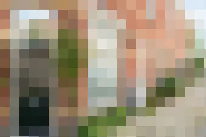 Bilderdijkstraat 34 Utrecht thumbnail 7