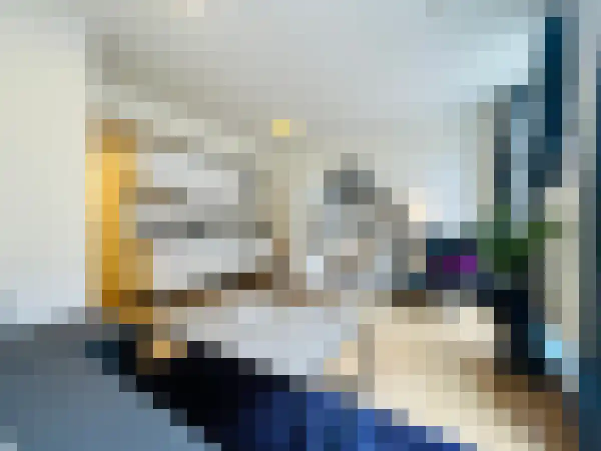 Bilderdijkstraat 4 Den Haag thumbnail 5