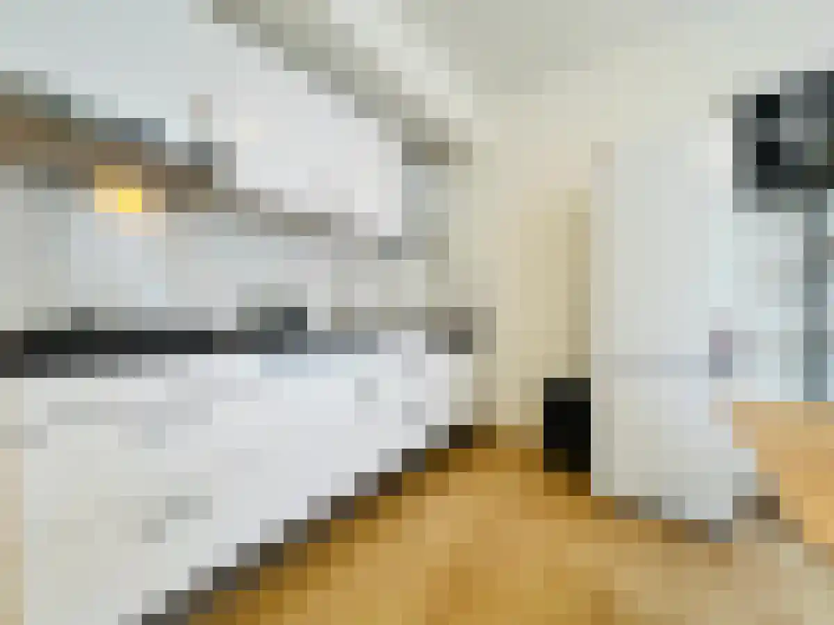 Bilderdijkstraat 4 Den Haag thumbnail 6