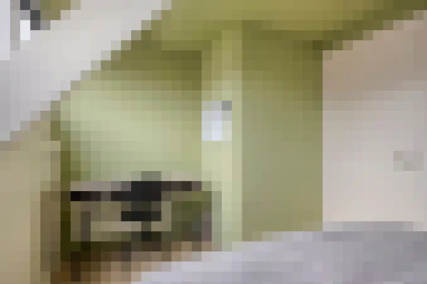 Bilderdijkstraat 4 Gouda thumbnail 21