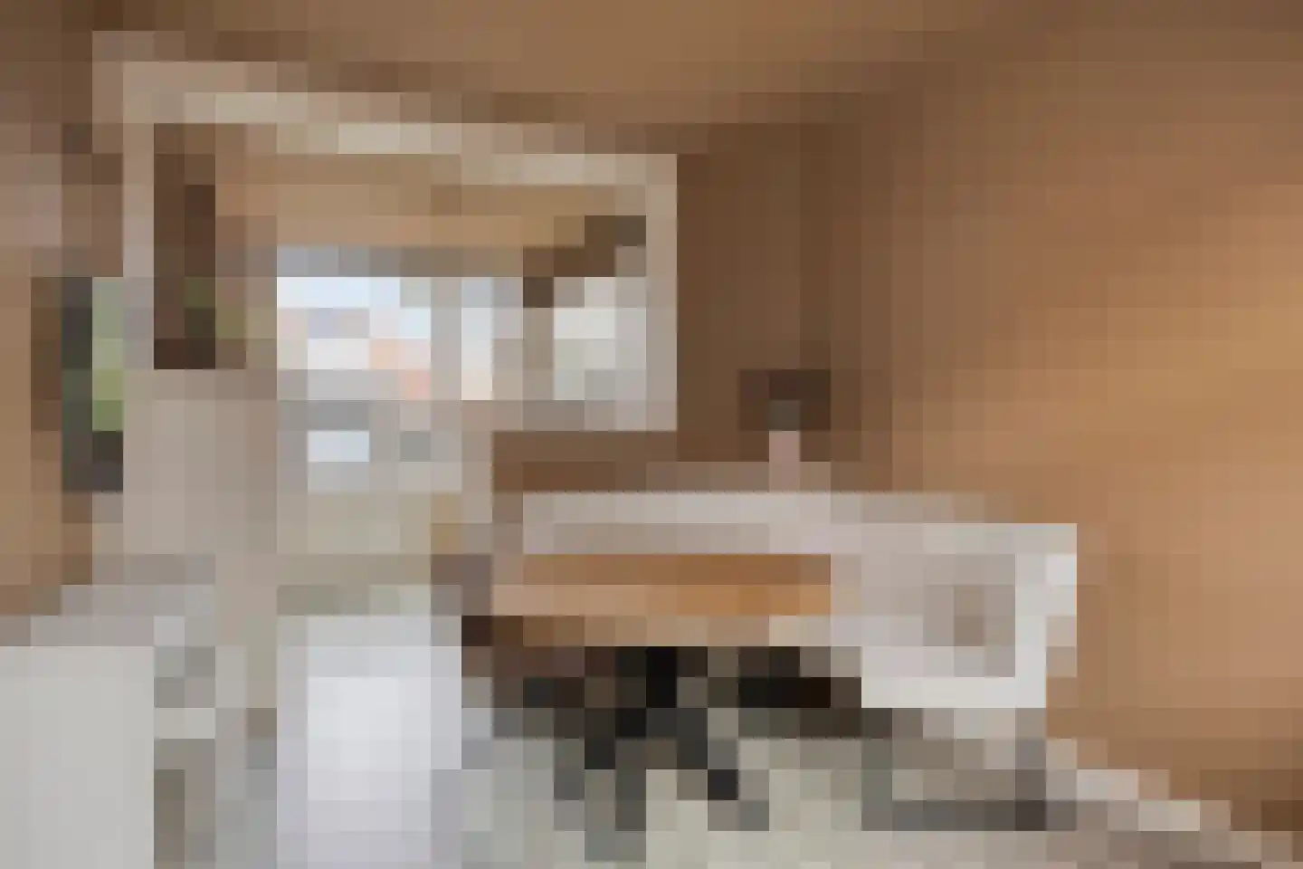Bilderdijkstraat 4 Gouda thumbnail 5