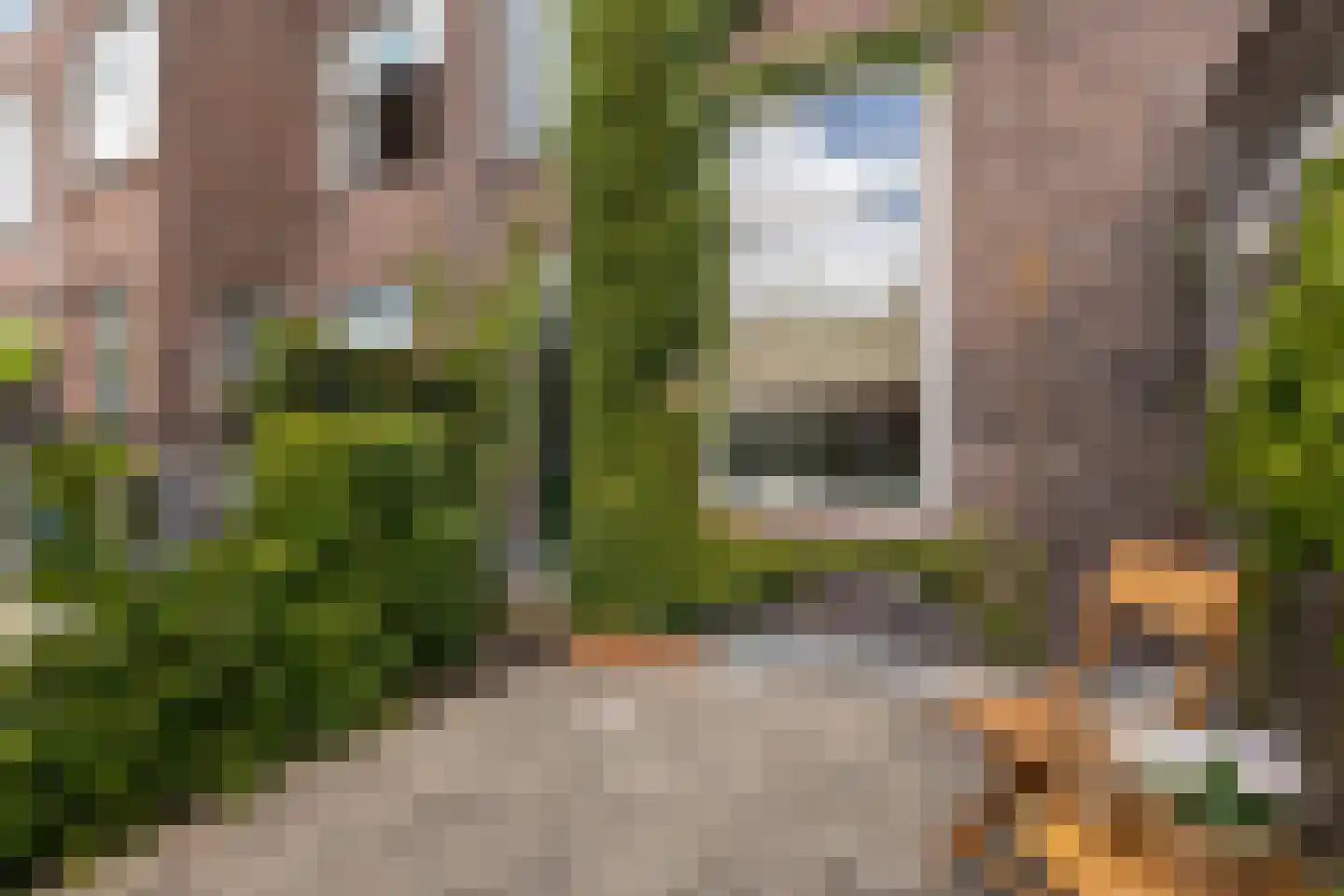 Bilderdijkstraat 40 BS Utrecht thumbnail 30