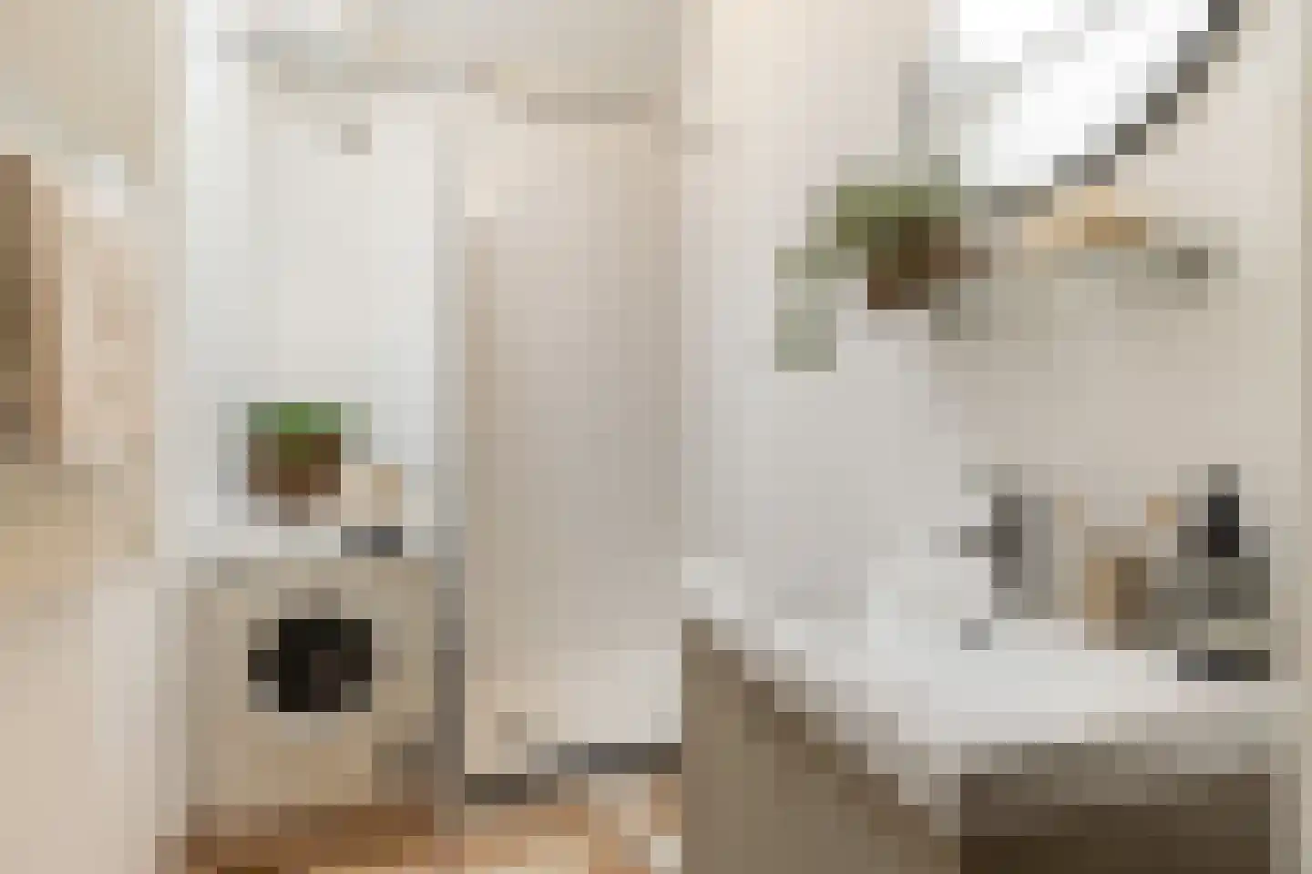 Bilderdijkstraat 40 BS Utrecht thumbnail 39