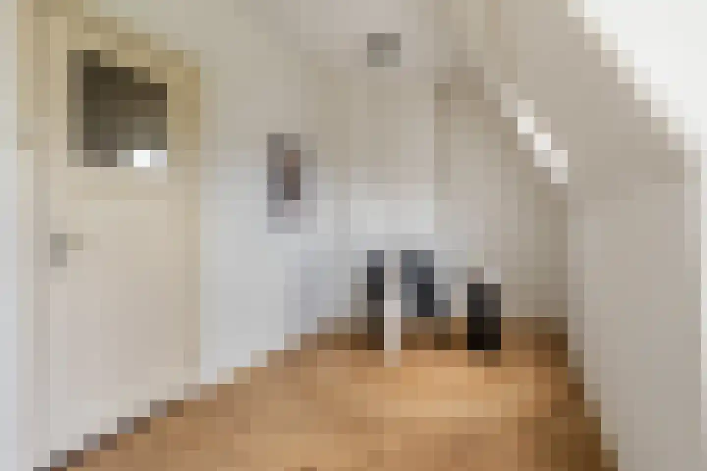 Bilderdijkstraat 40 BS Utrecht thumbnail 43